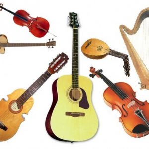 Instrumentos de Cuerdas